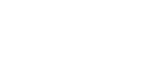 Efficient Adjuster